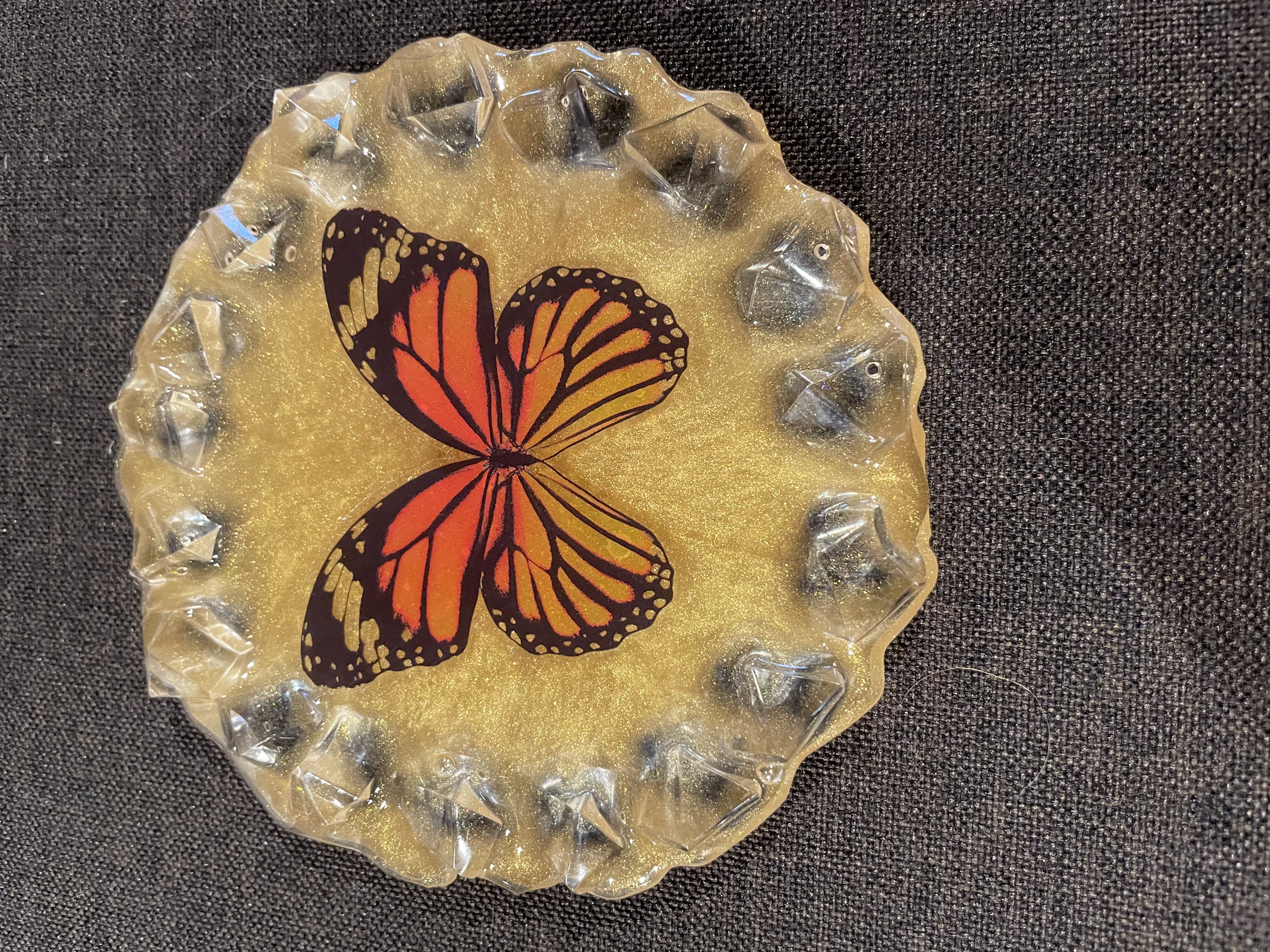 Monarch Butterfly Coaster